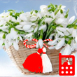 Cosulet cu ghiocei de Martisor